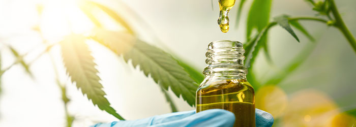CBD post opératoire